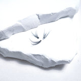 Barely There Lash Sheet